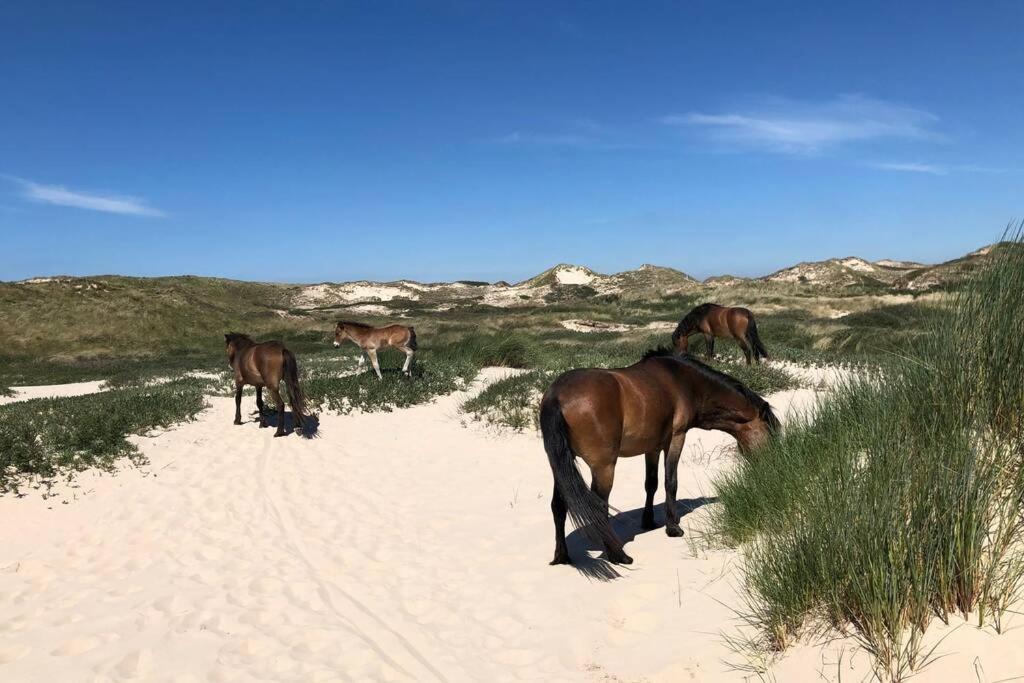 Villa Klein Geluk Egmond aan Zee Εξωτερικό φωτογραφία