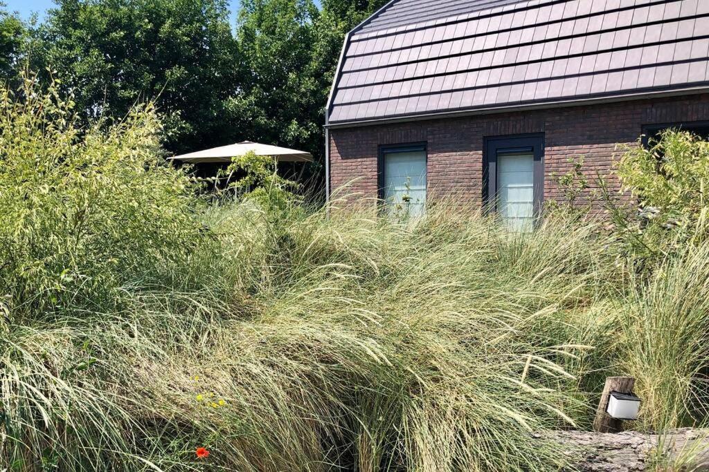 Villa Klein Geluk Egmond aan Zee Εξωτερικό φωτογραφία